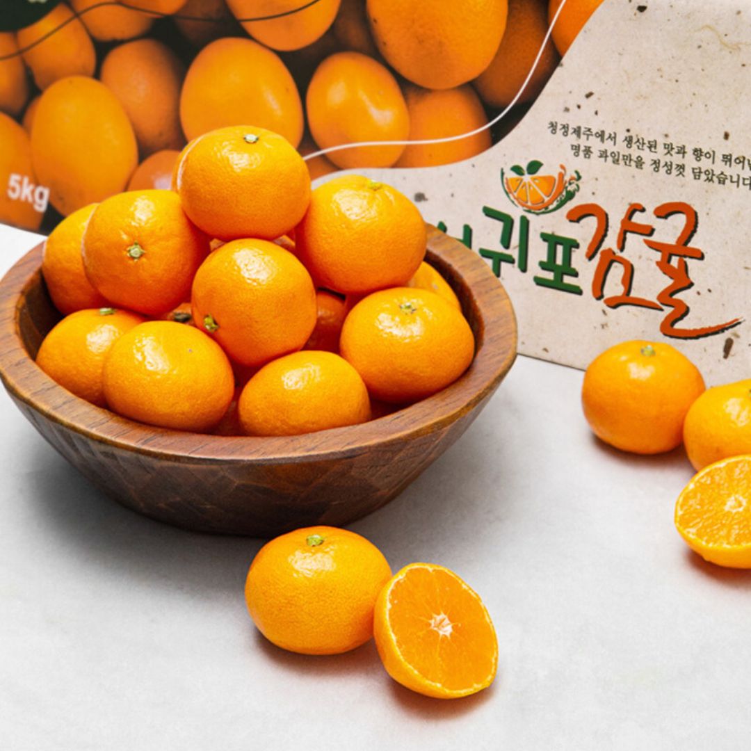 [한국직구] 제주 감귤 4.2kg / 한국직배송 / Jeju Orange